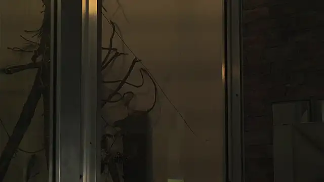 AlphaMasterXxx 现场XXX聊天