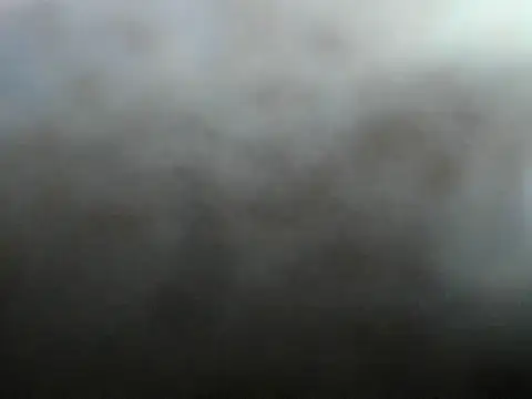 camila_wood's Webcam Show