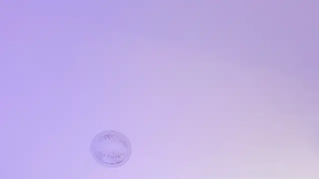 rousemonroe Live XXX Chat