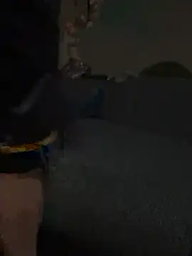 Show Webcam de monk5115