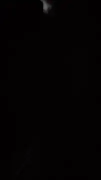 Sophrob96xn Live XXX chat