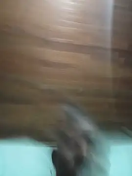 Živý XXX chat sandycollens_