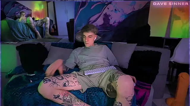 davesinnern Webbikameraesitys