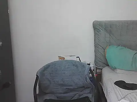 Show Webcam de IronSideBear