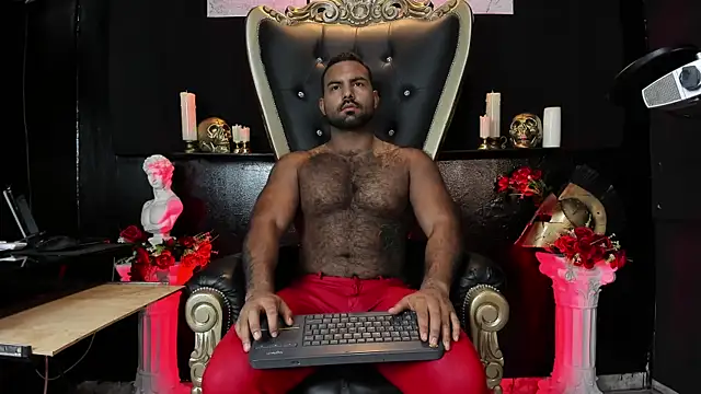 BeardAndrew's Webcam Show