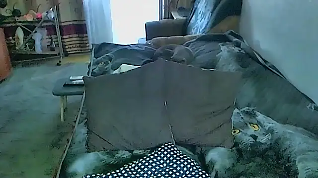 Živý XXX chat sex2