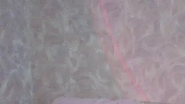 Omidodomi Live XXX-chat