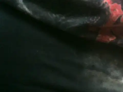 عرض كام vuran691