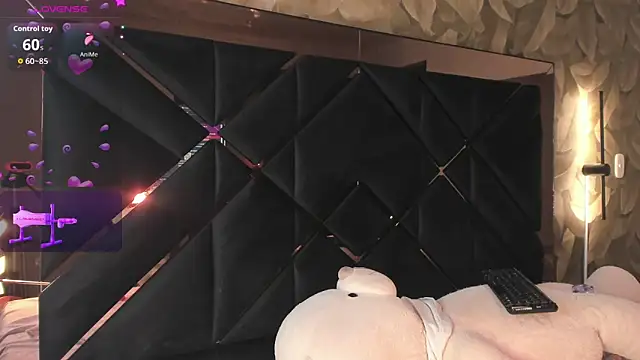 KaelSoft_ Webcam Show