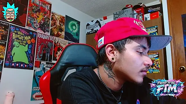 Hgp3riodictabl3n Webbikameraesitys