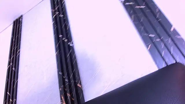 Dannesh_ 网络视讯表演