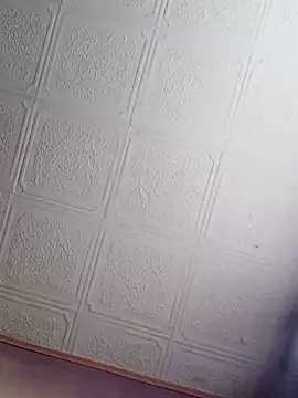 Show webcam de Wilderstier79