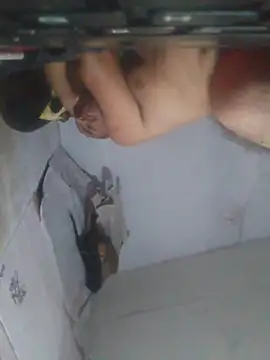 cobrosdepagos' Live XXX Chat