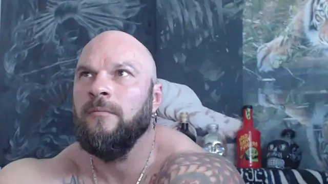 Chat XXX ao vivo de viking_30