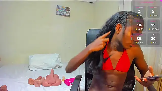 Kyliewarriorn Webbikameraesitys