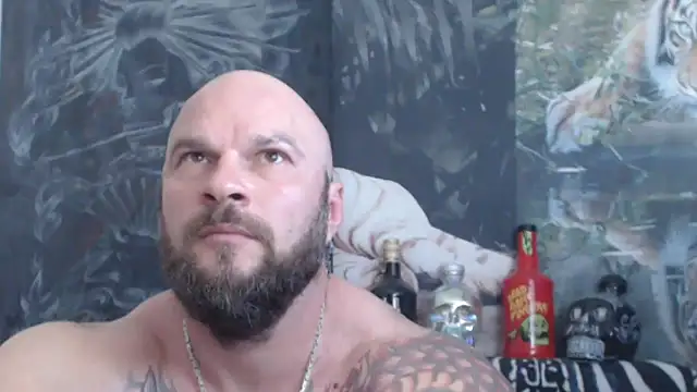Webkamerová show viking_30