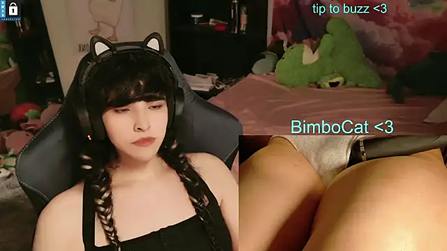 BimboCat Show in webcam