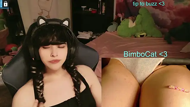 Show Webcam de BimboCat