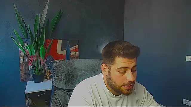 DaxGreern Webbikameraesitys
