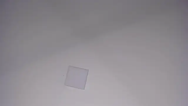 Taylor_gray7n Webbikameraesitys