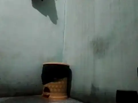 thichgaidambu Show Webcam