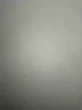 salve_1n Webbikameraesitys