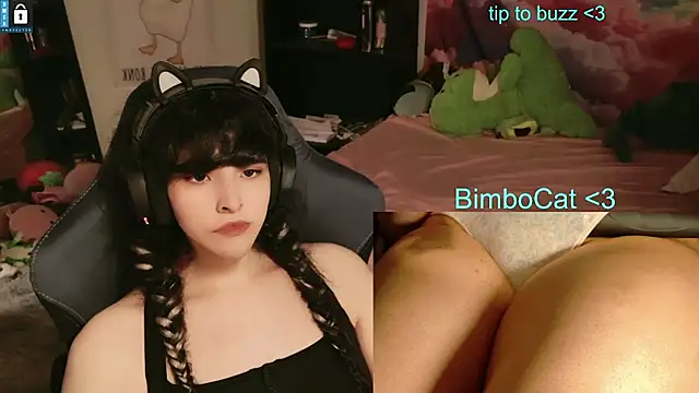 Pertunjukan Kamera Web BimboCat