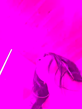 Webkamerová show LilySweet__