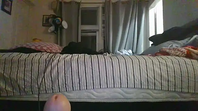 ajsin7 Live XXX-chat