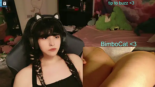 Show webcam de BimboCat