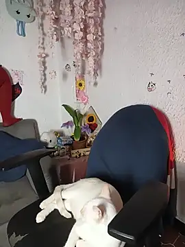 Kuutar's Live XXX Chat