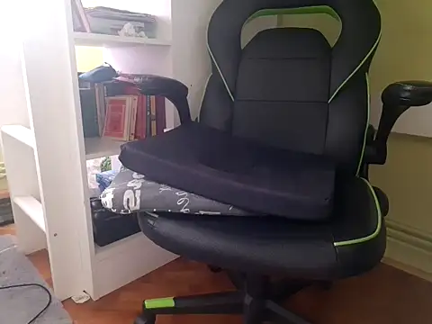 feathersify's Webcam Show