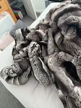 Furdalen Webbikameraesitys