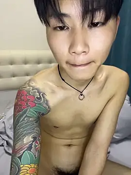 Show webcam de KKX808