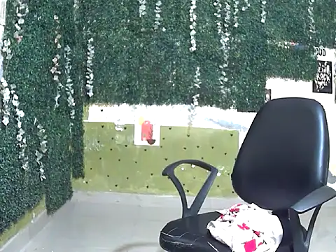 shallykaur 웹캠 쇼