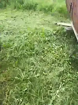 Živý XXX chat Alimela