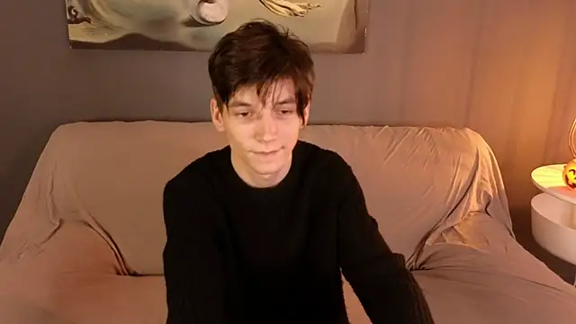 A_LFn Webbikameraesitys