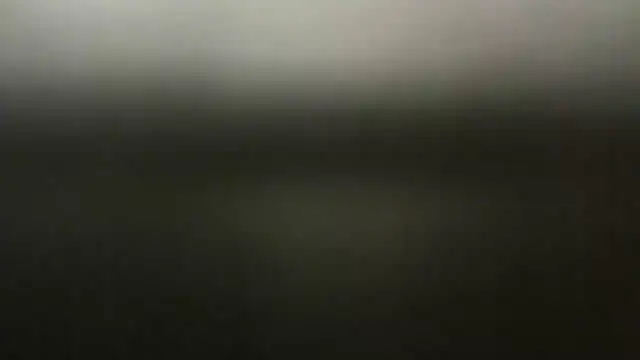 Real-Tra8eのウェブカメラショー