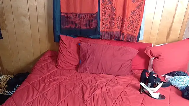 Leesdesires Show Webcam