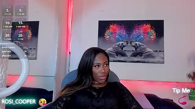 rosi_coopern Webbikameraesitys