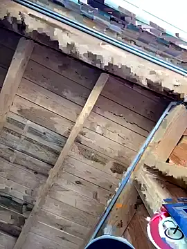 Živý XXX chat kalinixta