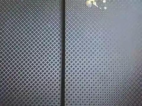 projectdivad 라이브 XXX 채팅