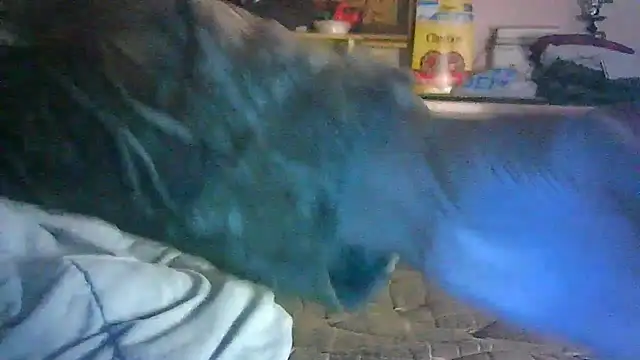 _P3RKY_IMMORTAL3_FIR3_ webcam show