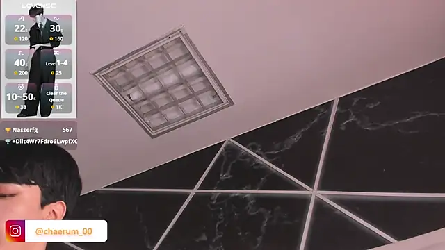 AerumChaen Webbikameraesitys