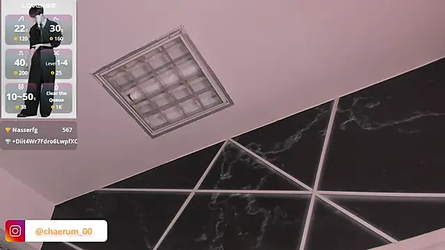 AerumChae 即時 XXX 聊天