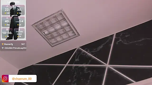 AerumChae Show Webcam