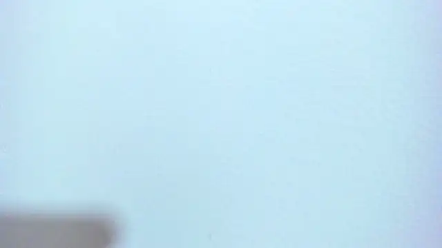 ZeusBrant Pertunjukan Webcam