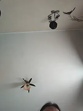 Chat +18 de vulpe8400 ao vivo
