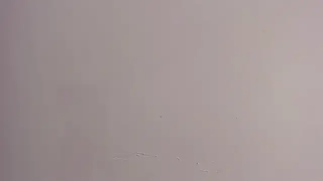 Živý XXX chat alannaht