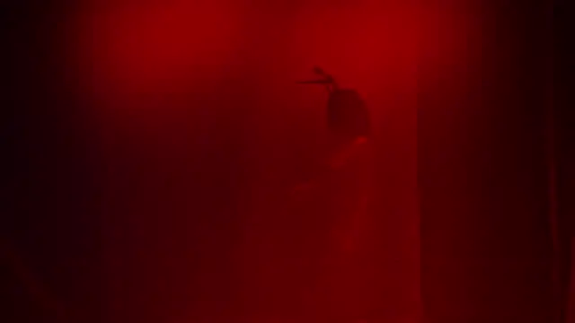 Rebel__Stage élő XXX-chatje